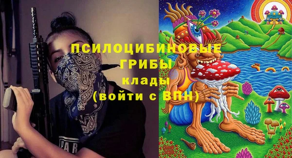 дурь Верхний Тагил